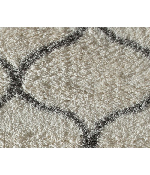 Rugs America Cloud Shag RA26356 Ivory Rugs America Cloud Shag RA26356 Ivory Area Rug 2 ft. x 4 ft. Rectangle
