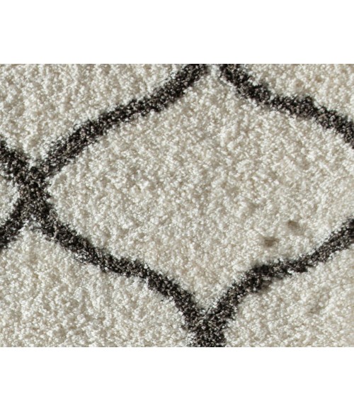 Rugs America Cloud Shag RA26352 Ivory Rugs America Cloud Shag RA26352 Ivory Area Rug 2 ft. x 4 ft. Rectangle