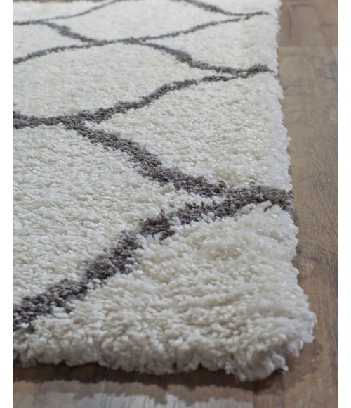 Rugs America Cloud Shag RA26352 Ivory Rugs America Cloud Shag RA26352 Ivory Area Rug 2 ft. x 4 ft. Rectangle