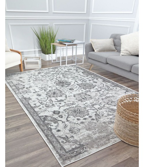 Rugs America Freida RA29029 Light Gray Rugs America Freida RA29029 Light Gray Area Rug 8 ft. x 10 ft. Rectangle