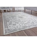 Rugs America Freida RA29029 Light Gray Rugs America Freida RA29029 Light Gray Area Rug 8 ft. x 10 ft. Rectangle