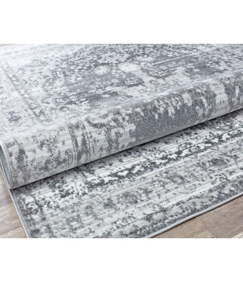 Rugs America Freida RA29037 Light Gray Rugs America Freida RA29037 Light Gray Area Rug 8 ft. x 10 ft. Rectangle