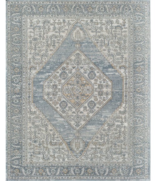 Rugs America Ludlow RA30230 Grey Rugs America Ludlow RA30230 Grey Area Rug 2 ft. 6 in. x 4 ft. Rectangle