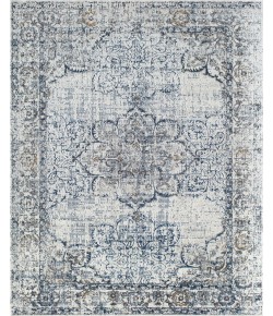 Rugs America Preston PS35B Sapphire Bay Blossom Transitional Vintage Gray Area Rug, 2 ft. 6 in. X 8 ft.