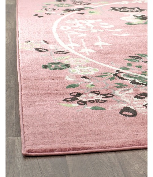 Rugs America Hanna RA28479 Pink Area Rug 2 ft. x 4 ft. Rectangle