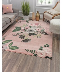 Rugs America Hanna VA40D Rose Garden Pink Floral Transitional Pink Area Rug, 5 ft. X 7 ft.