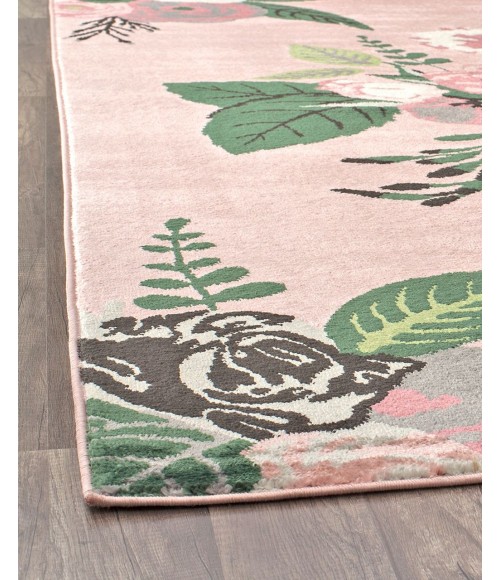 Rugs America Hanna RA28525 Pink Area Rug 5 ft. x 7 ft. Rectangle