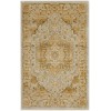 Safavieh Austin AUS1590 Light Grey / Gold 2'-6" X 4' Accent Area Rug