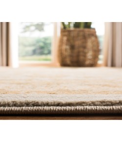 Safavieh Austin AUSL160 Light Blue / Gold 8' X 11' Rectangle Area Rug
