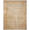 Safavieh Austin AUSL160 Light Blue / Gold 8' X 11' Rectangle Area Rug