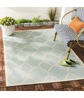 Safavieh Beach House BHS125 Aqua / Cream 8' X 10' Rectangle Area Rug