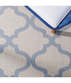 Safavieh Bermuda BMU810 Ivory / Blue 3' X 5' Rectangle Area Rug