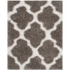 Safavieh Barcelona Shag BSG319 Silver / Ivory 3' X 5' Rectangle Area Rug