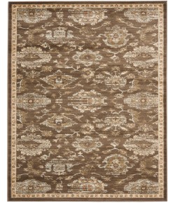 Safavieh Florenteen Brown / Ivory FLR128 8 ft. X 10 ft. Rectangle Rug