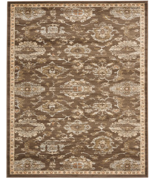 Safavieh Florenteen Brown / Ivory FLR128 8 ft. X 10 ft. Rectangle Rug