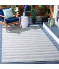 Safavieh Hampton Aqua / Ivory HTN231 8 ft. X 10 ft. Rectangle Rug