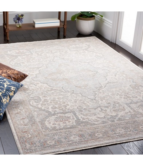 Safavieh Marmara Beige / Light Blue MRM318 2 ft. 6 in. X 4 ft. Accent Rug