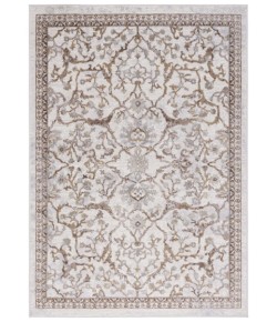 Safavieh Palma Beige / Brown PAM336 9 ft. X 12 ft. Rectangle Rug