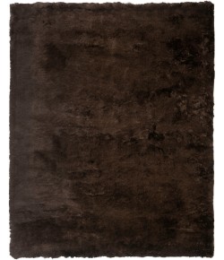Safavieh Shag Chocolate SG511 5 ft. X 8 ft. Rectangle Rug