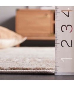 Safavieh Whisper Beige / Light Beige WHS818 6 ft. 7 in. X 6 ft. 7 in. Round Rug