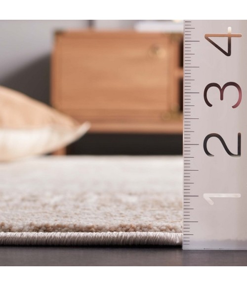 Safavieh Whisper Beige / Light Beige Rug WHS818 5 ft. 3 in. X 7 ft. 6 in. Rectangle - Rugs Town Safavieh Whisper Beige / Light Beige WHS818 5 ft. 3 in. X 7 ft. 6 in. Rectangle Rug