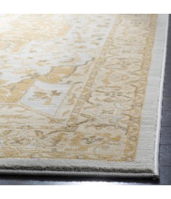 Safavieh Austin AUS1590 Light Grey / Gold 2'-6" X 4' Accent Area Rug