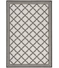 Safavieh Beach House BHS121 Light Grey / Charcoal 4' X 6' Rectangle Area Rug