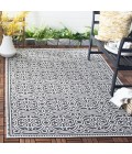 Safavieh Beach House BHS134 Light Grey / Charcoal 4' X 6' Rectangle Area Rug