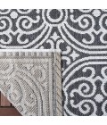 Safavieh Beach House BHS134 Light Grey / Charcoal 4' X 6' Rectangle Area Rug