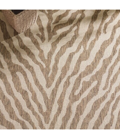 Safavieh Beach House BHS182 Cream / Beige 4' X 6' Rectangle Area Rug