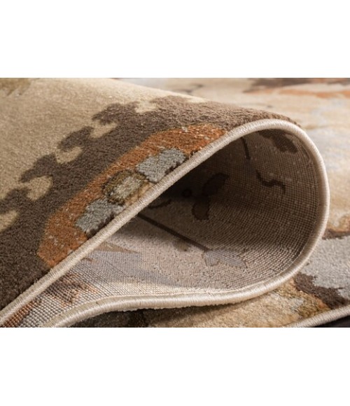 Safavieh Florenteen Ivory / Brown FLR129 4 ft. X 6 ft. Rectangle Rug