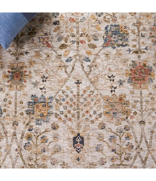 Safavieh Silverado Ivory / Rust SVD112 4 ft. X 6 ft. Rectangle Rug