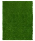 Safavieh Vista Green VST100 7 ft. 9 in. X 10 ft. Rectangle Rug