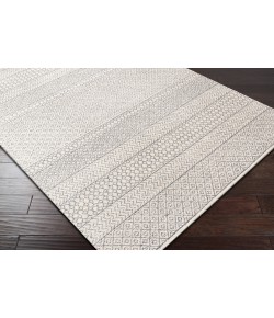 Surya Maroc 146523 Beige Ivory Area Rug 9 ft. X 12 ft. Rectangle