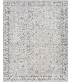 Livabliss Amelie AML-2385 2 ft. x 2 ft.11 in. Rectangle Rug