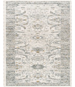 Livabliss Dresden DRE-2326 2 ft.7 in. x 10 ft. Runner Rug