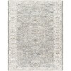 Livabliss Dresden DRE-2327 2 ft.7 in. x 10 ft. Runner Rug