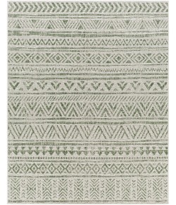 Livabliss Eagean EAG-2429 2 ft.7 in. x 12 ft. Runner Rug