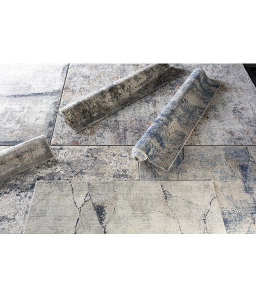 Surya Norland NLD-2311 9  x 12  Rug
