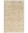 TRANSCENDENT RUG Surya Transcendent TNS-9002-2x3 rug
