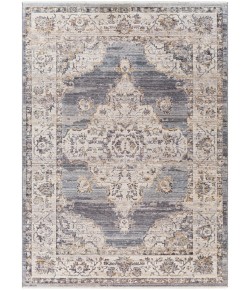 Livabliss Aida AAD2300 Ivory Gray Area Rug 2 ft. 7 in. X 4 ft. 11 in. Rectangle