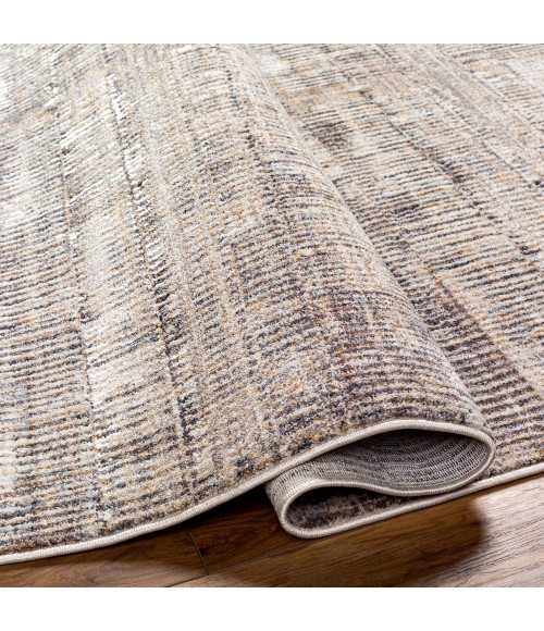 Aida Rug Surya Aida Rug AAD2304