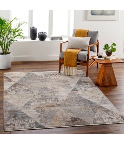 Livabliss Aida AAD2308 Beige Tan Area Rug 8 ft. 10 in. X 13 ft. Rectangle