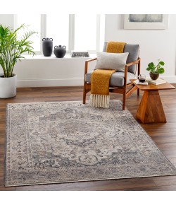 Livabliss Aida AAD2311 Beige Medium Gray Area Rug 8 ft. 10 in. X 13 ft. Rectangle