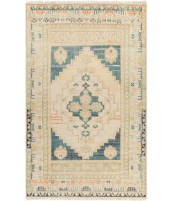 Surya Anadolu AAU2301 Teal Deep Teal Area Rug 8 ft. X 10 ft. Rectangle