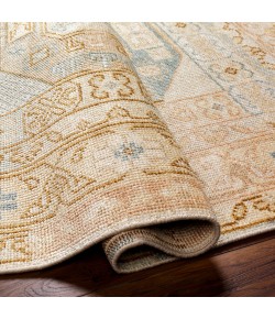 Surya Anadolu AAU2304 Aqua Blush Area Rug 2 ft. X 3 ft. Rectangle