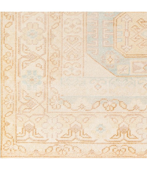 Surya Anadolu AAU-2304 2' x 3' Rug