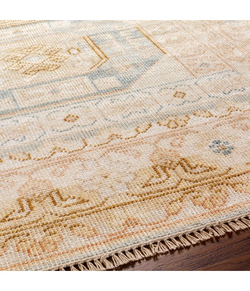 Surya Anadolu AAU-2304 2' x 3' Rug