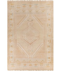 Surya Anadolu AAU2305 Blush Beige Area Rug 10 ft. X 14 ft. Rectangle