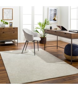 Surya Addison ADD2304 Light Gray Cream Area Rug 9 ft. X 12 ft. Rectangle
